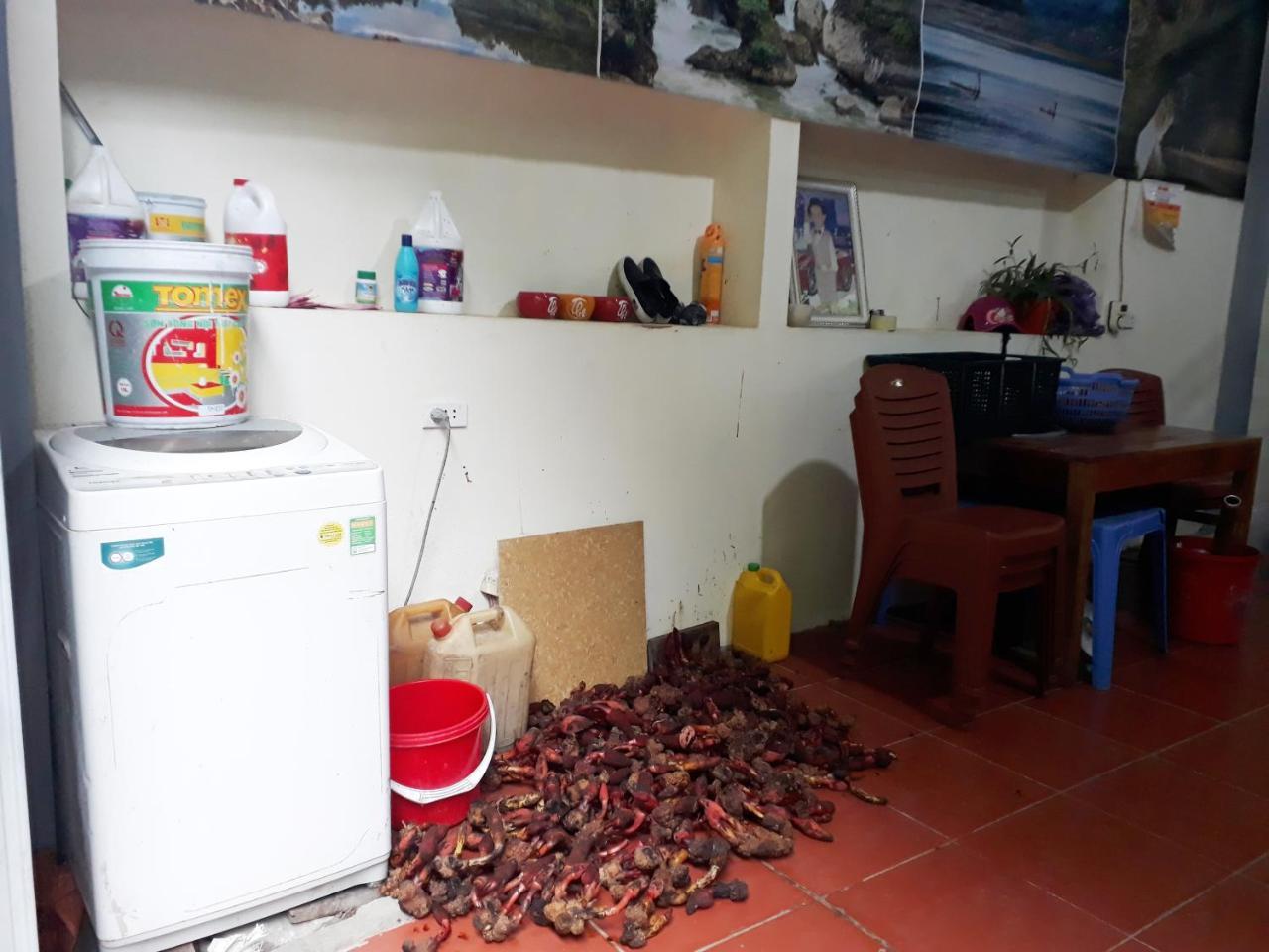 Nha Nghi Son Lam - Panorama Lake View Apartment An Ma Luaran gambar